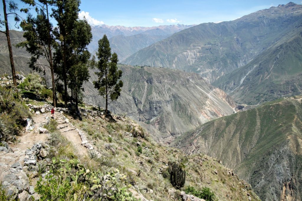 Safe enough for donkeys, but still a long way down