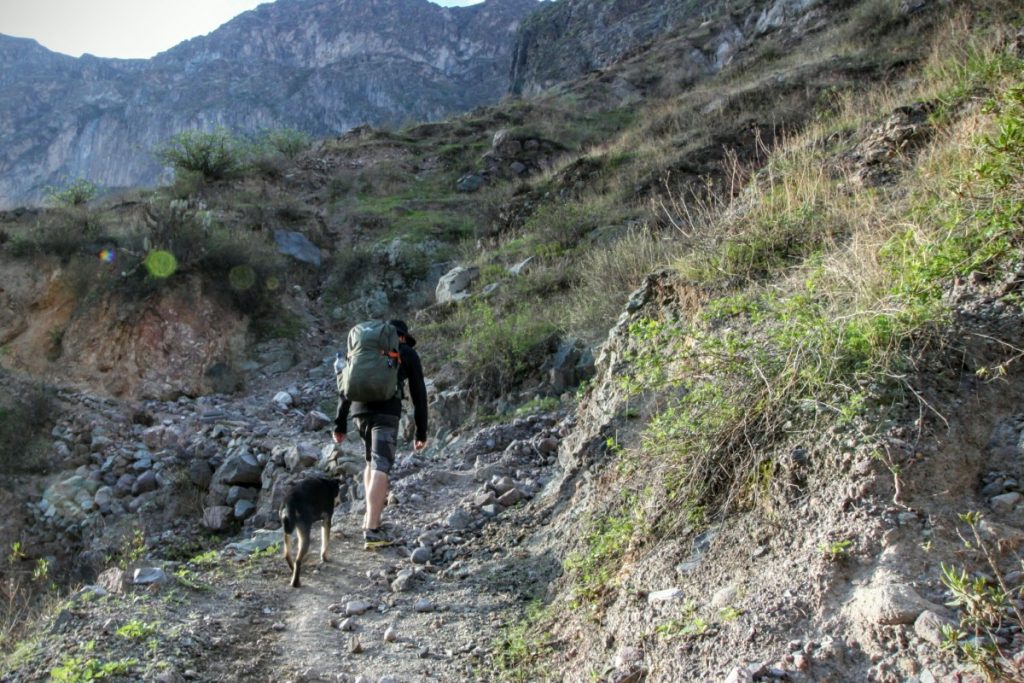 The dog followed us until he realised we were too slow