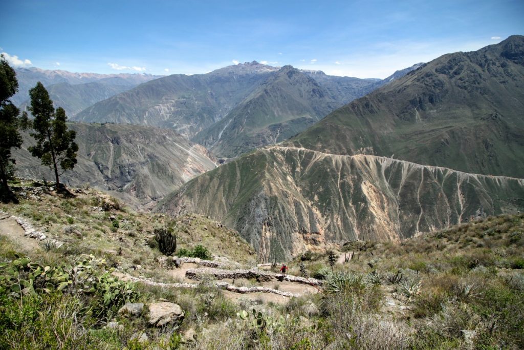 A long winding walk down
