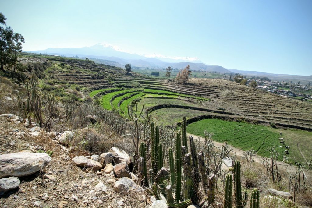 Terraced farmland all around