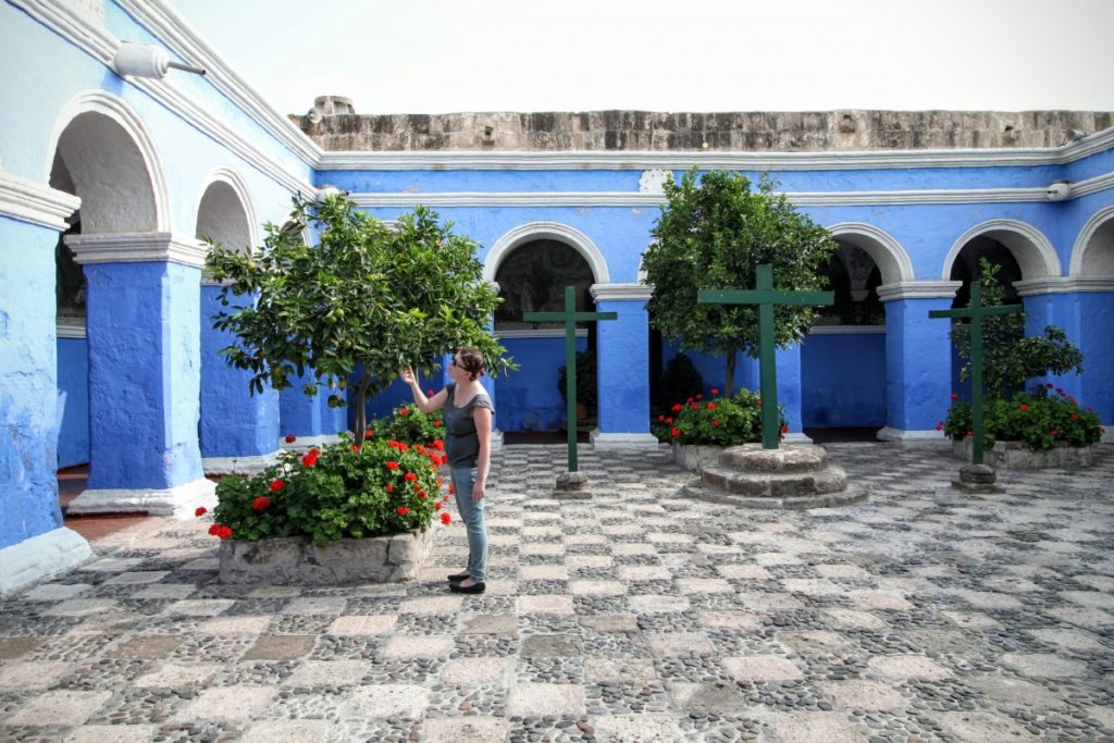 Orange trees