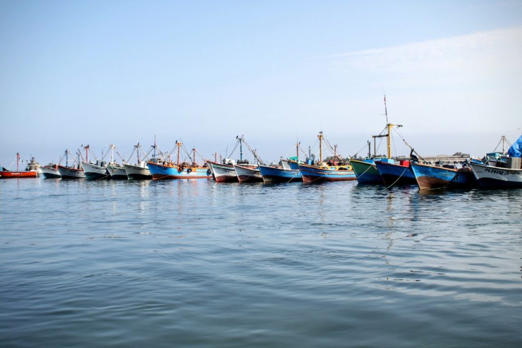Fishing and tour boats