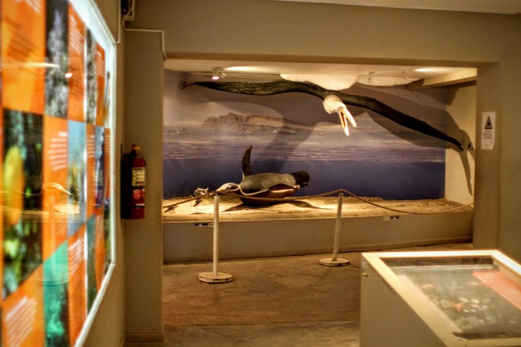 The museum covers the ecological history of the area