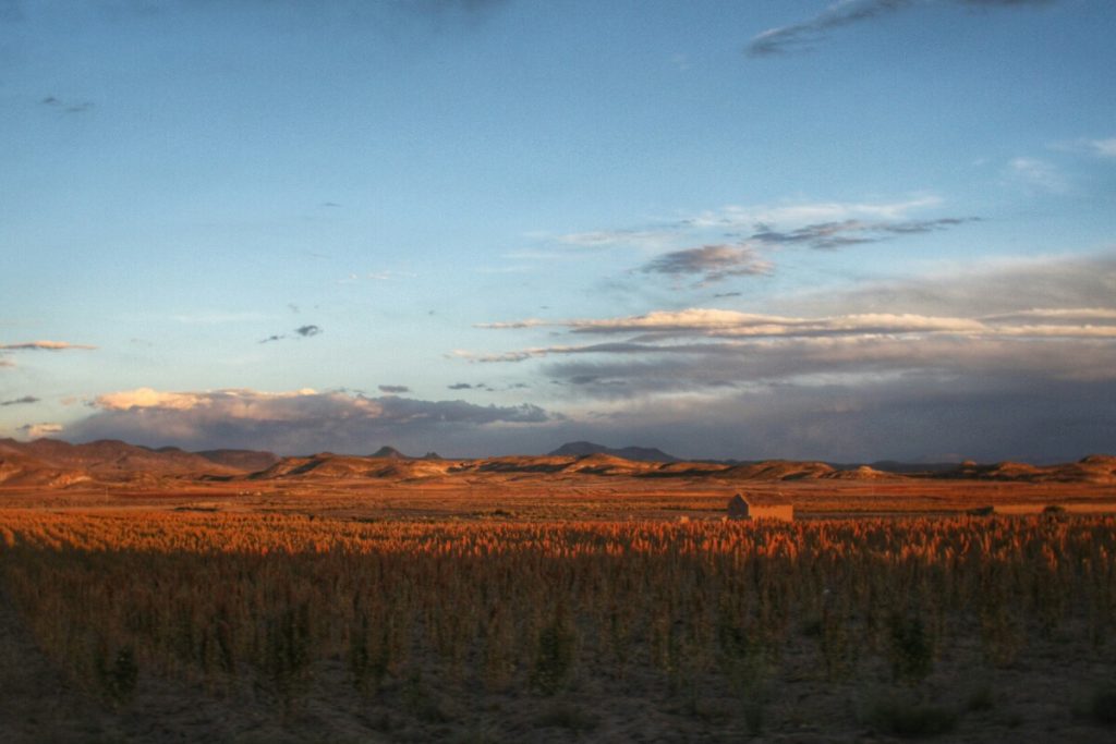 Sunset over the plain