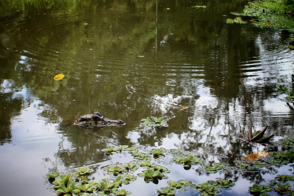 This guy kept close watch the whole time we were fishing