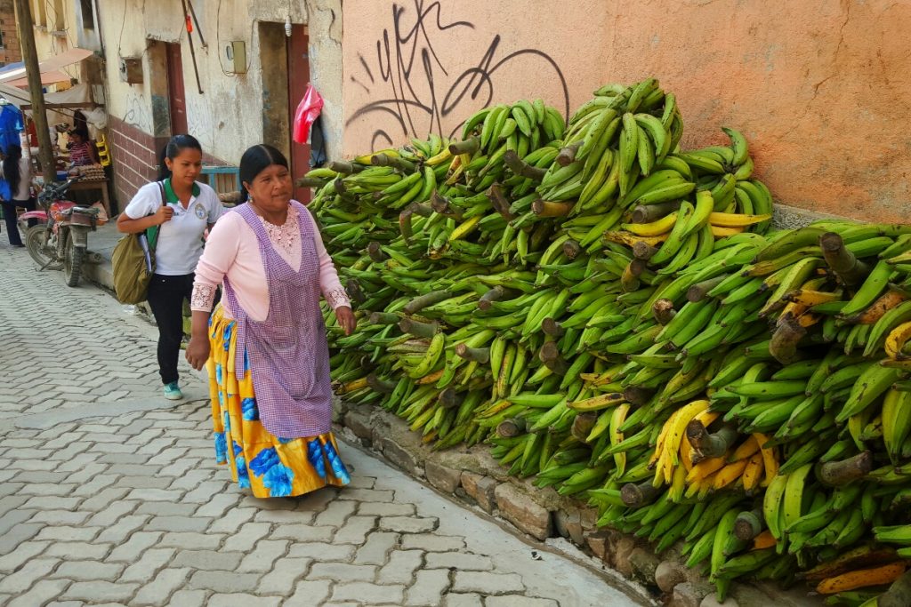 Lots of bananas