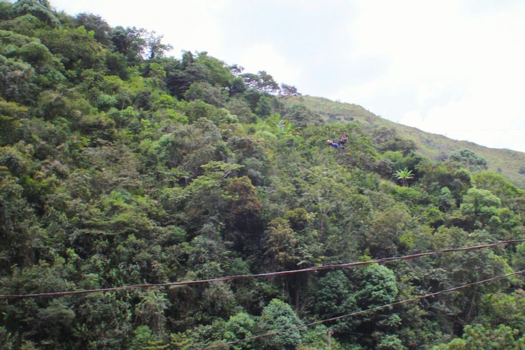 Renée supermans across the canyon